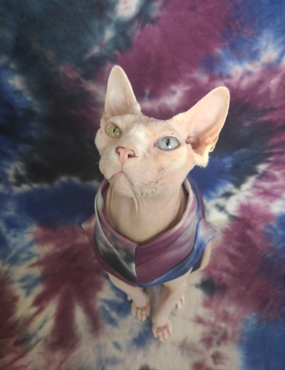 Blue Burgundy Black Tie Dye