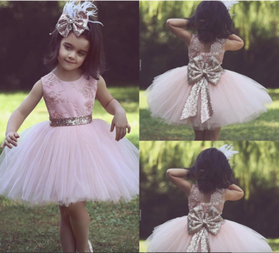 Pink Blue Flower Girl Dresses Short Length