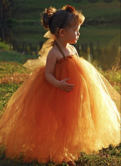 Burnt Orange Flower Girl Dresses Ball Gown