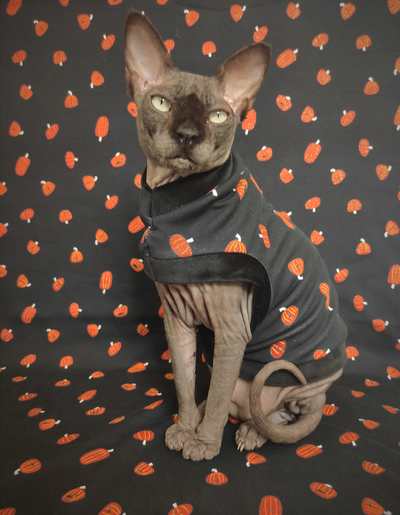 Glitter Jack-o'-lanterns