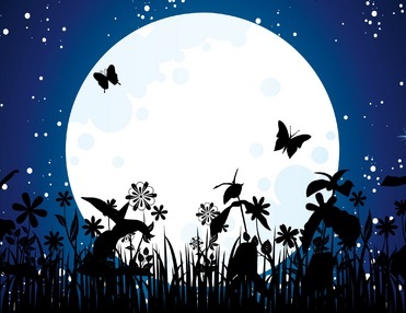 Moonlight Path Soy Shots ~ 1 oz.