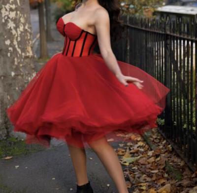 Sexy Red Corset Prom Dresses Homecoming Dresses