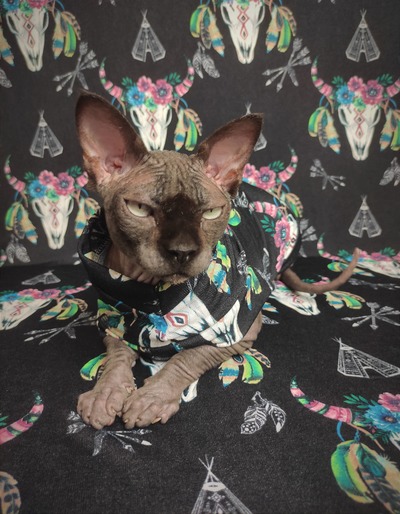 Home On The Range (Black)