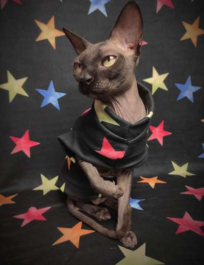 Seeing Stars Sweaterknit