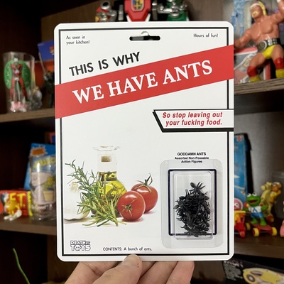 This is Why We Have Ants