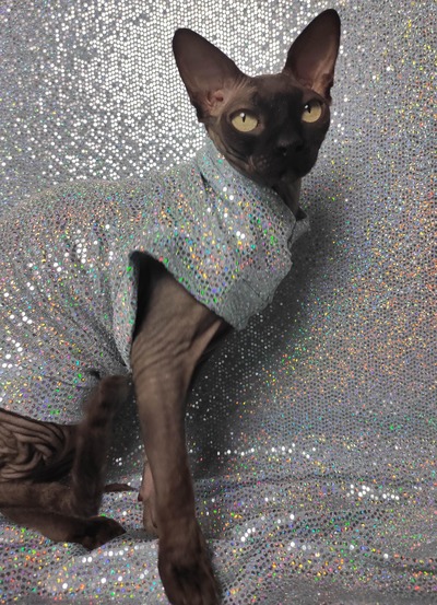 Sparkling Personality (Frozen)