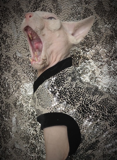 Sparkling Personality (Snake)