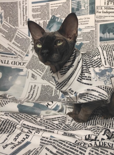 Fake News Sweaterknit