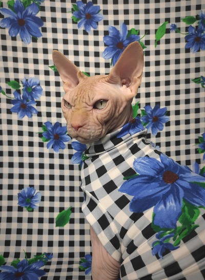 Blue Check - Sleepwear