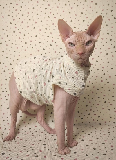 Fluttering Hearts Thermal