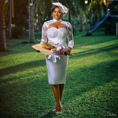 Simple Sheath Lace Long Sleeve Tea-length African Wedding Dress Bridal Gown