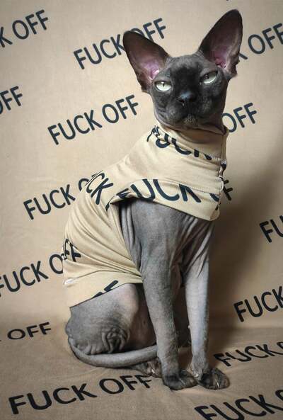 Fuck Off (Khaki) - Sleepwear