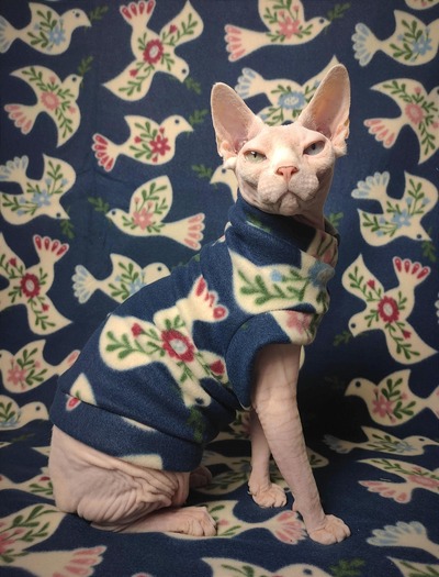 Give Peace A Chance - Luxe Fleece