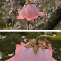 Hats, children's hats, peach blossom hats, cherry blossom hats - Thumbnail 4