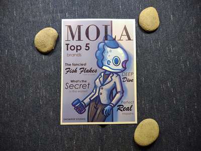 Mola Magazine Grey Mini Print