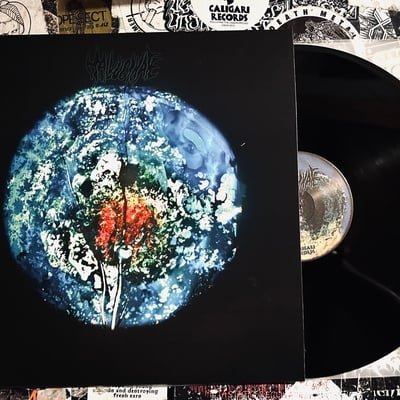 Hallucinate - from the bowels of the earth (black vinyl) - Thumbnail 4