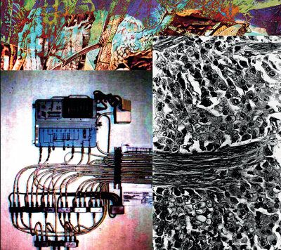 Umpio 'Sin Memoria' CD