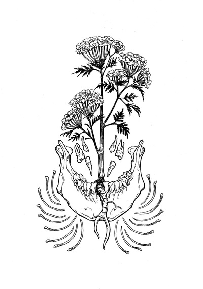 Neon Hemlock: Jawbone (Original Ink Drawing)