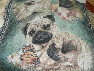 Tapestry beautiful Pug Dog Multiple Pug Shots Colorful Couch Throw Rug