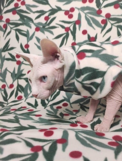 Cranberries - Luxe Fleece