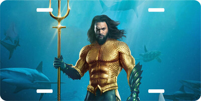 Aquaman Jason Momoa Vanity License Plate