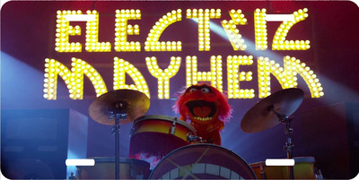 Disney Muppets Animal Electric Mayhem Vanity License Plate
