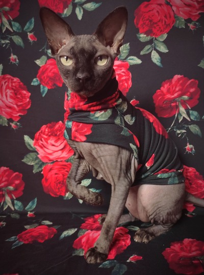 Eternal Roses - Sleepwear