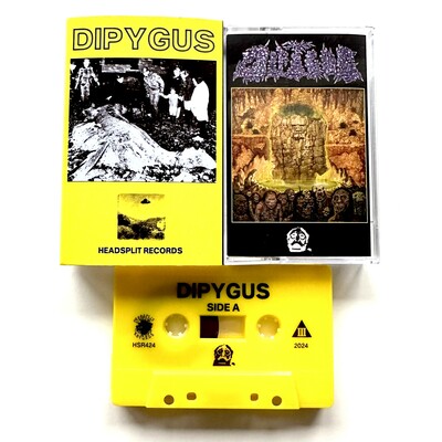 Dipygus s/t
