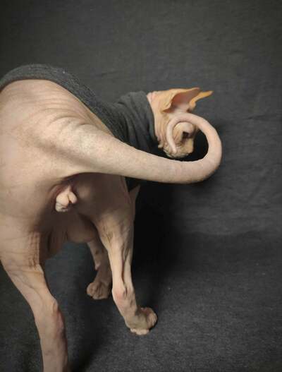 Dark Grey Heather Yeezus