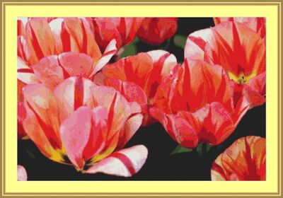 Tulips Cross Stitch Pattern