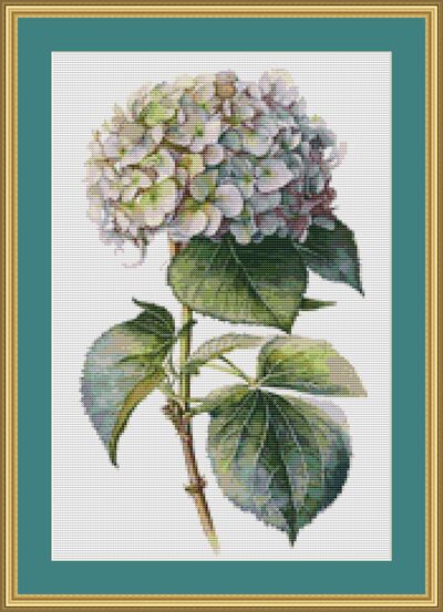 Pink Hydrangea Cross Stitch Pattern