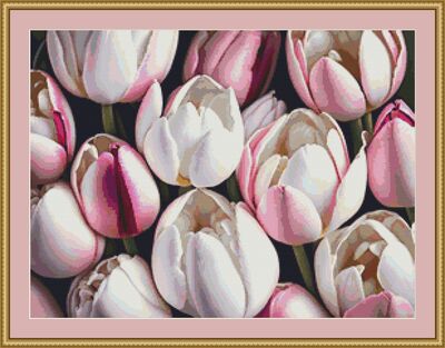 Pink And White Tulips Cross Stitch Pattern