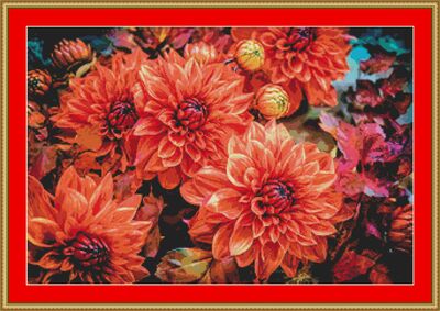 Dahlias Cross Stitch Pattern