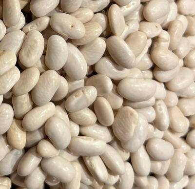 Chivo Blanco White Bean Heirloom Seed Packet