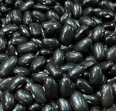 Ayocote Black Frijoles Black Bean Heirloom Seed Packet