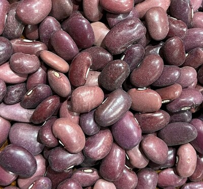 Ayocote Morado Bean Heirloom Seed Packet