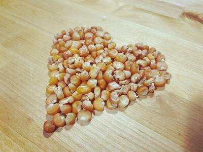 Otto File Orange Polenta Italian Heirloom Flint Corn Eight Row