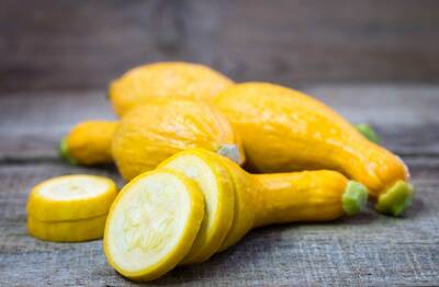 Yellow Crookneck Summer Squash Heirloom Premium Seed Packet