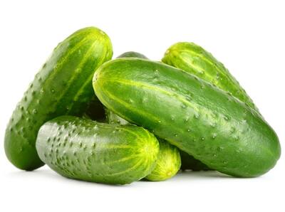 Homemade Pickles Pickling Cucumber Heirloom Premium Seed Packet