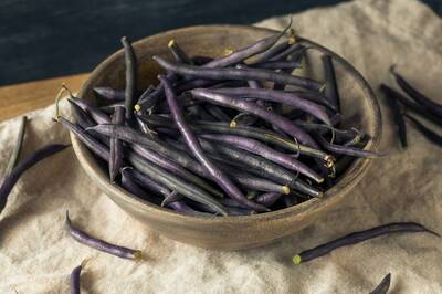 Velour Purple Green Bush Bean Premium Seed Packet