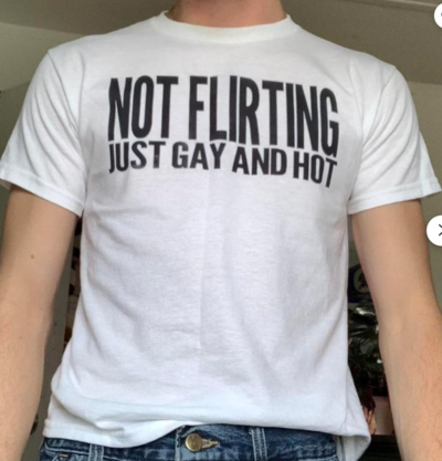 Free Shipping-NOT FLIRTING JUST GAY AND HOT TEE
