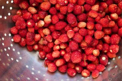 Bowlenzauber Red Alpine Strawberry Fraise des Bois Premium Seed Packet