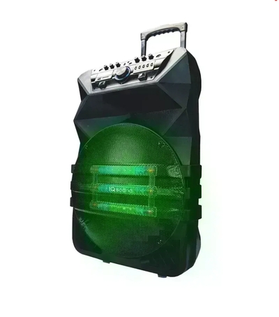 Professional Speaker With True Wireless Technology - IQ-4115DJTWS