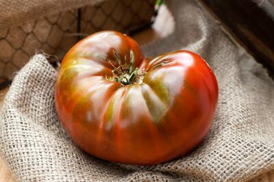 Chocolate Stripes Heirloom Tomato Premium Seed Packet