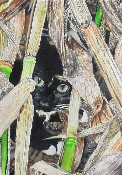 "Kitty In The Corn Stalks" Artwork By N.E.Thompson, Art Print