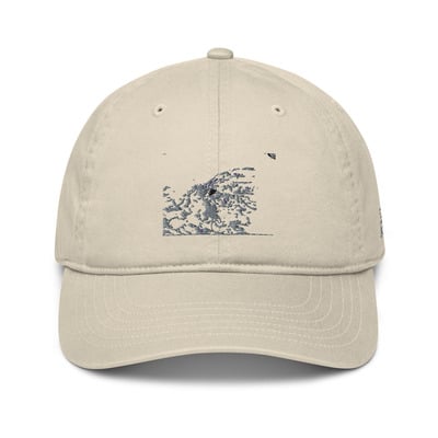 Organic dad hat - Journey