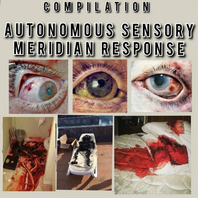 V/A 'Autonomous Sensory Meridian Response' CD
