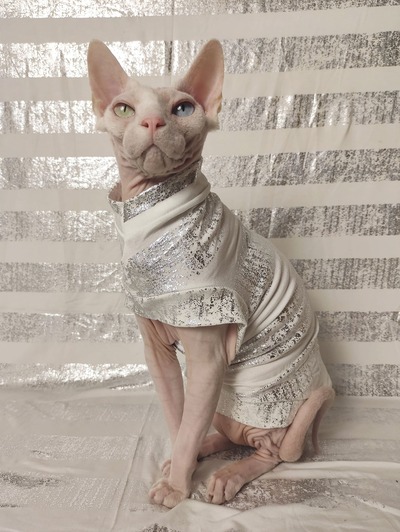 Distressed Silver Stripe - Sleepwear