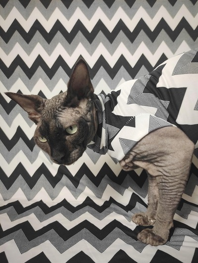 Bezerker - Sleepwear