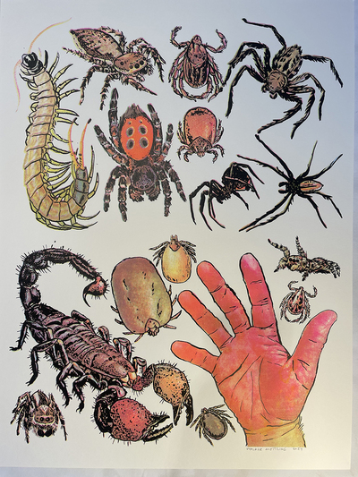 Arachnids/Hand Screen Print (18" x 24")